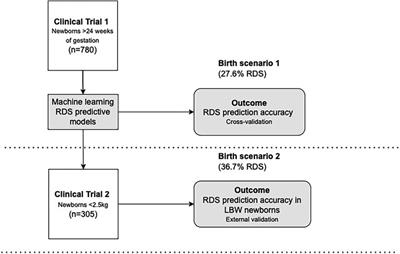 Respiratory distress syndrome prediction at birth by optical skin maturity assessment and machine learning models for limited-resource settings: a development and validation study